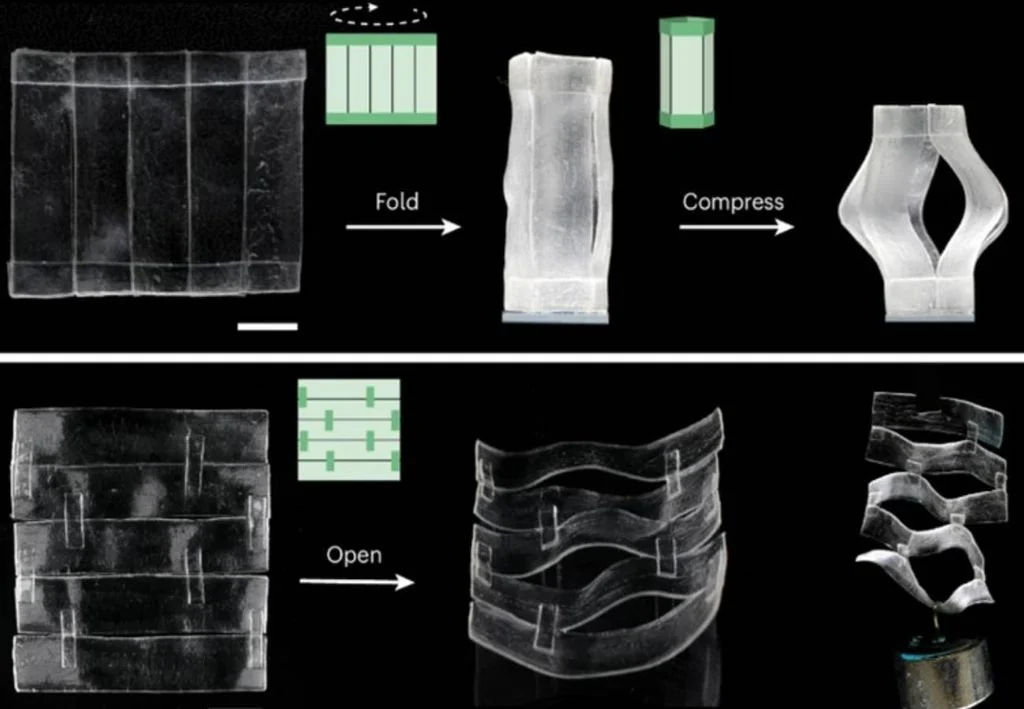 cientistas-criam-novo-hidrogel-que-imita-a-pele-humana-e-se-autorregenera-1741547286564_1024